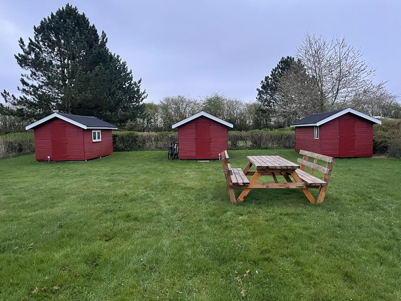 Rødvig