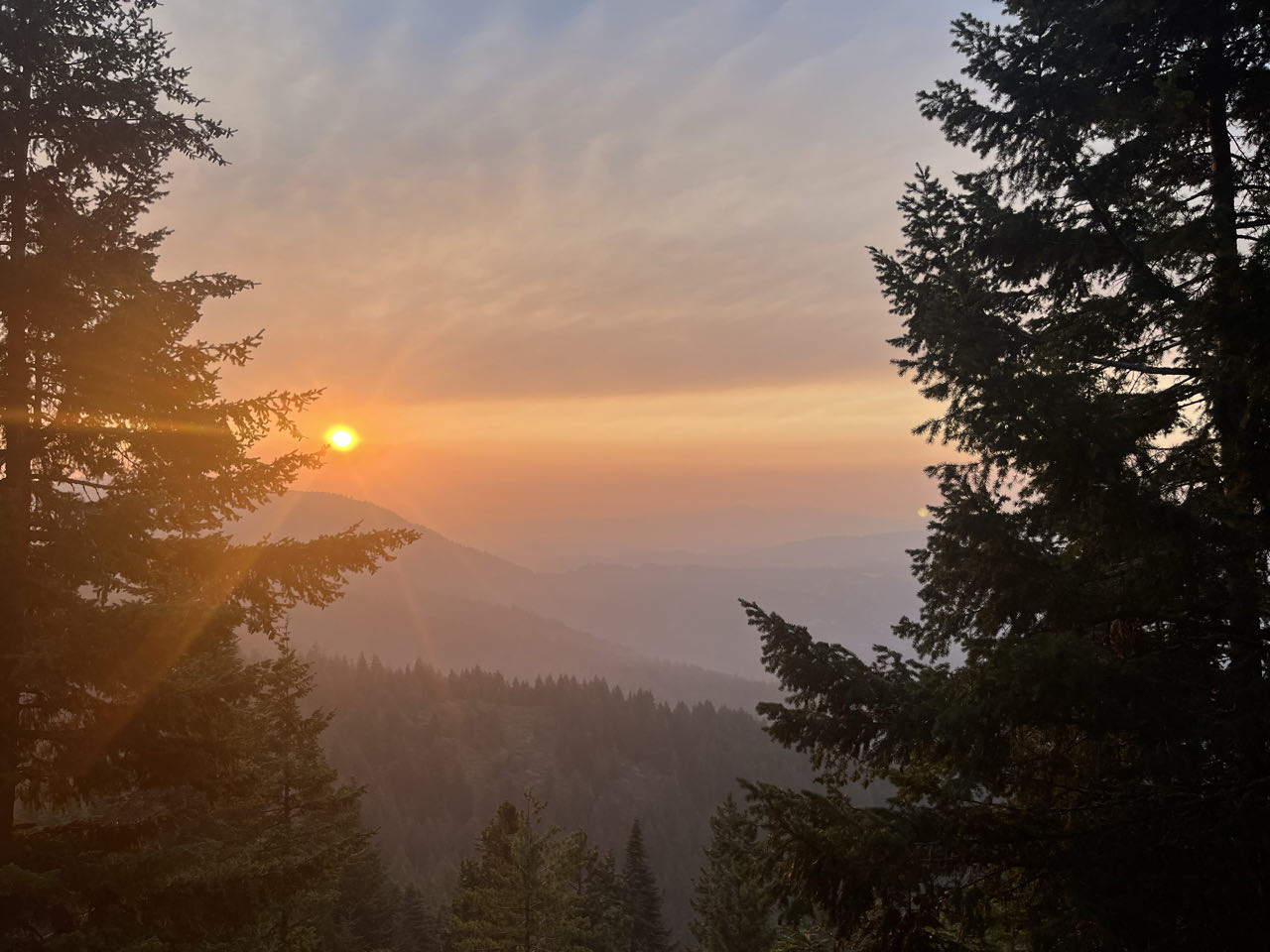 Nearo into Ashland