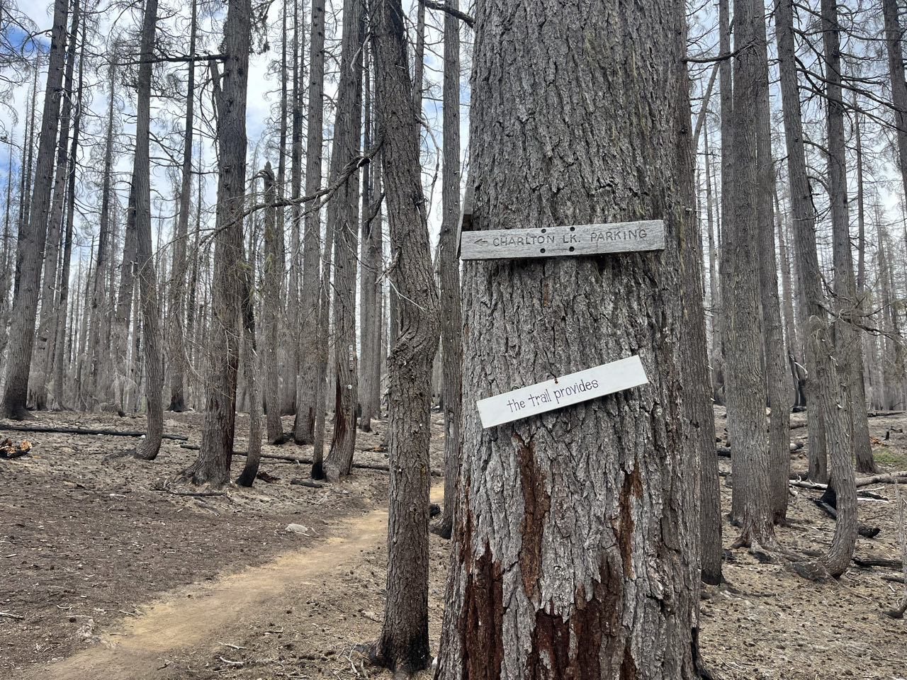 The trail provides