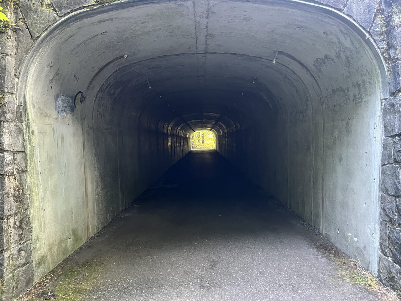 Day 124