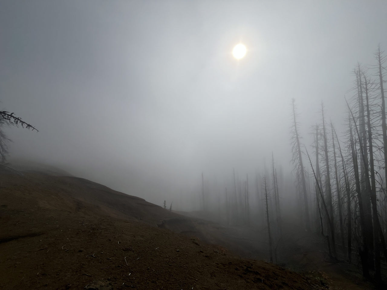 Mist and cold 🌫️