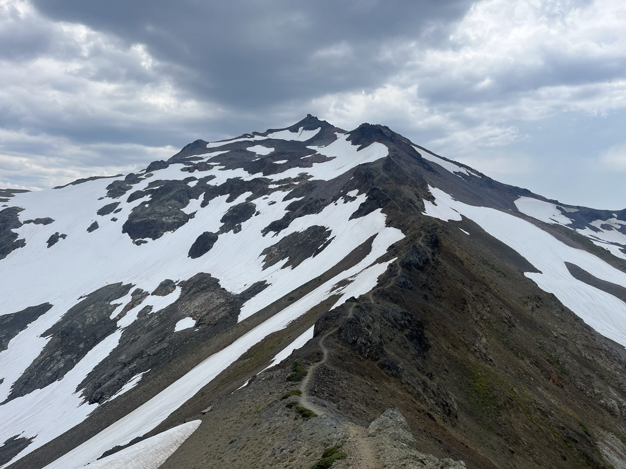 Goat Rocks and baby bear
