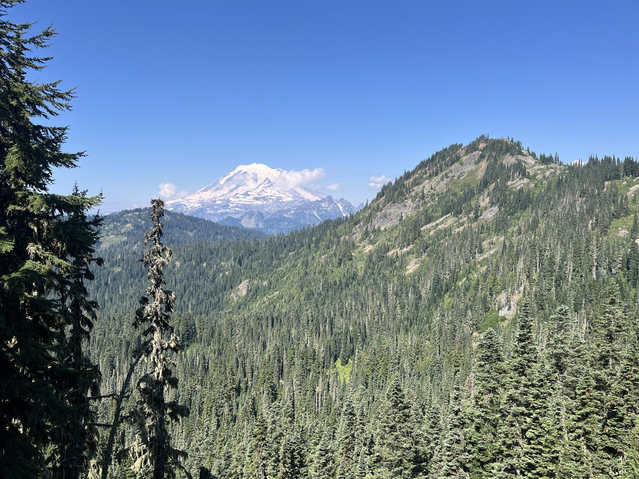 Beautiful Washington