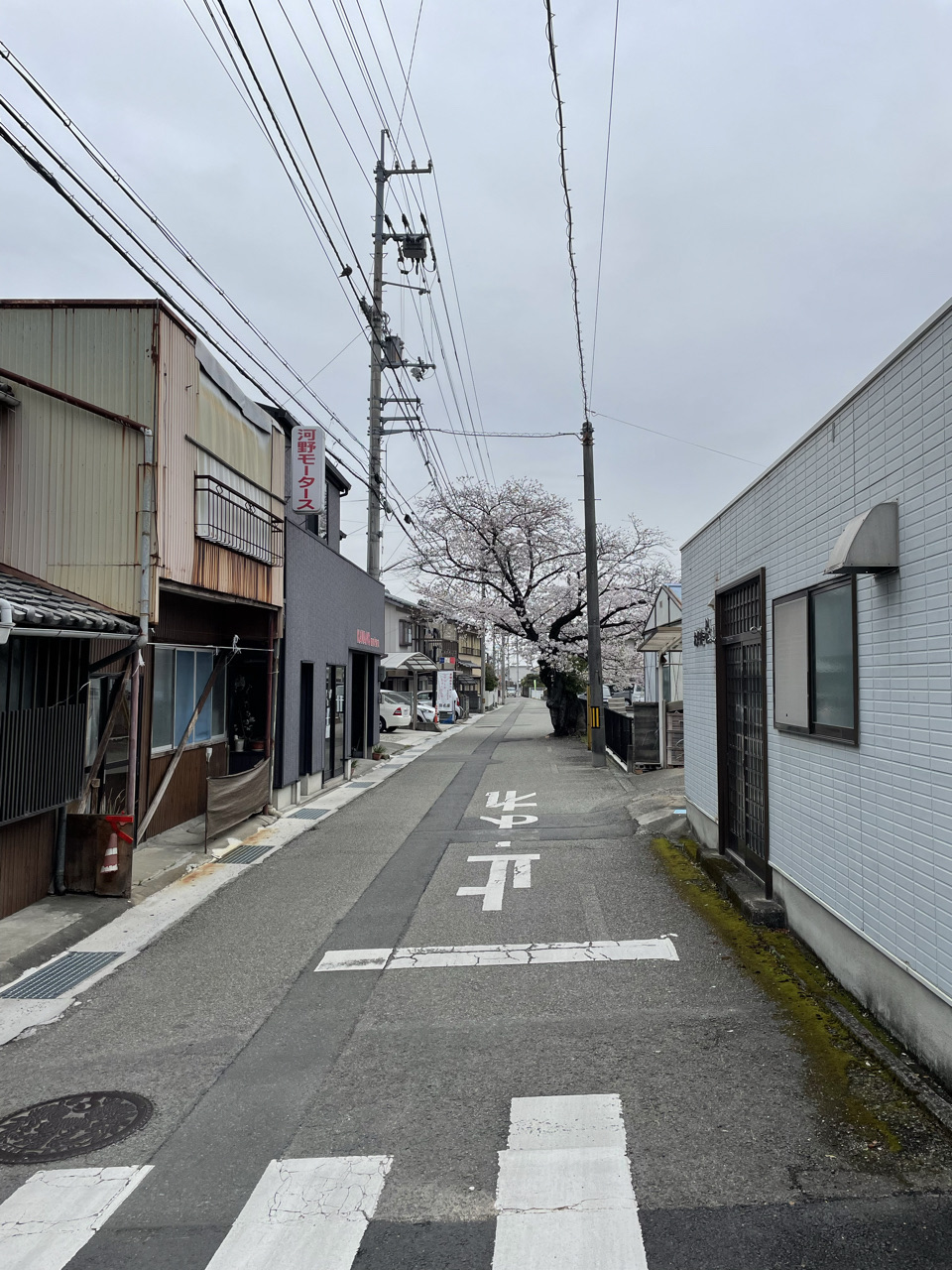 Temple 6-10