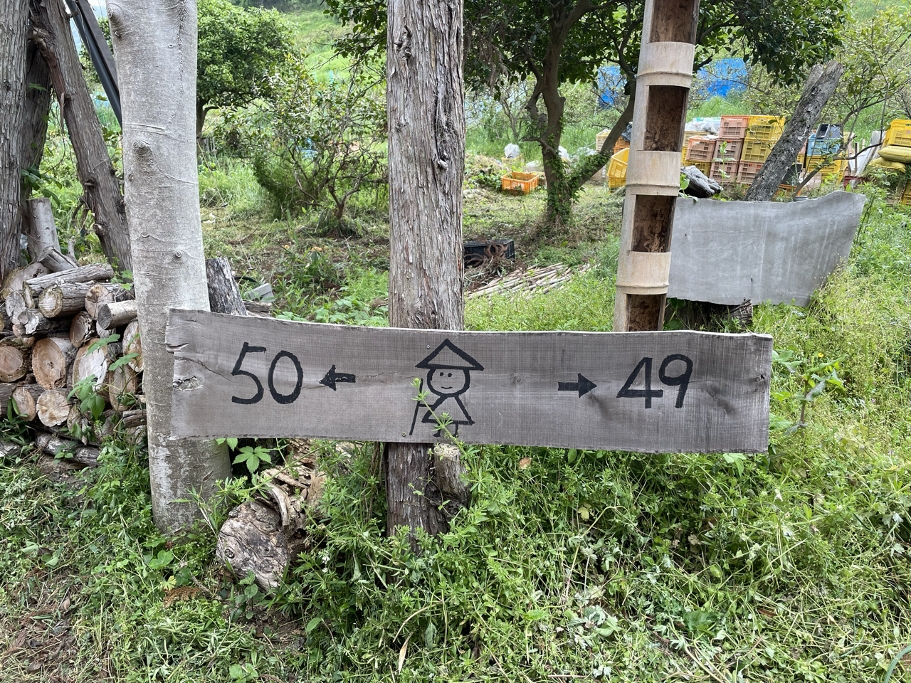 Temple 46-51